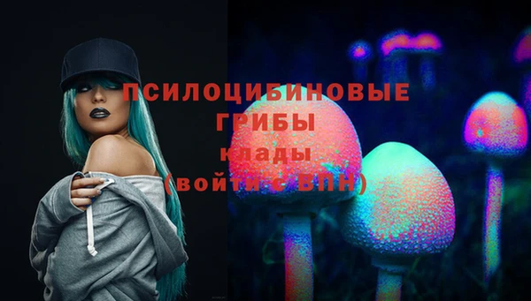 а пвп мука Краснослободск