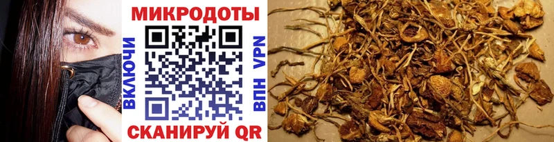 Купить Горнозаводск Псилоцибиновые грибы Psilocybine cubensis